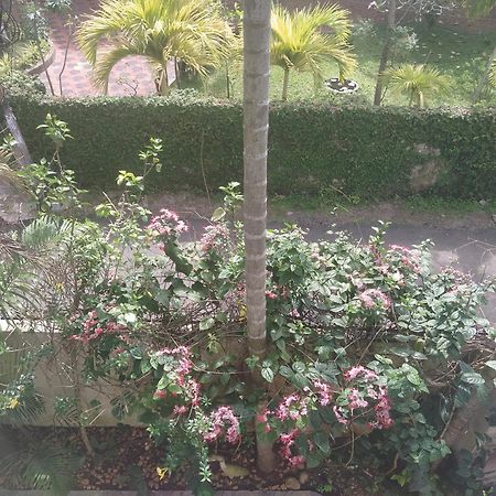 Paradise Inn Guest House Alappuzha Εξωτερικό φωτογραφία
