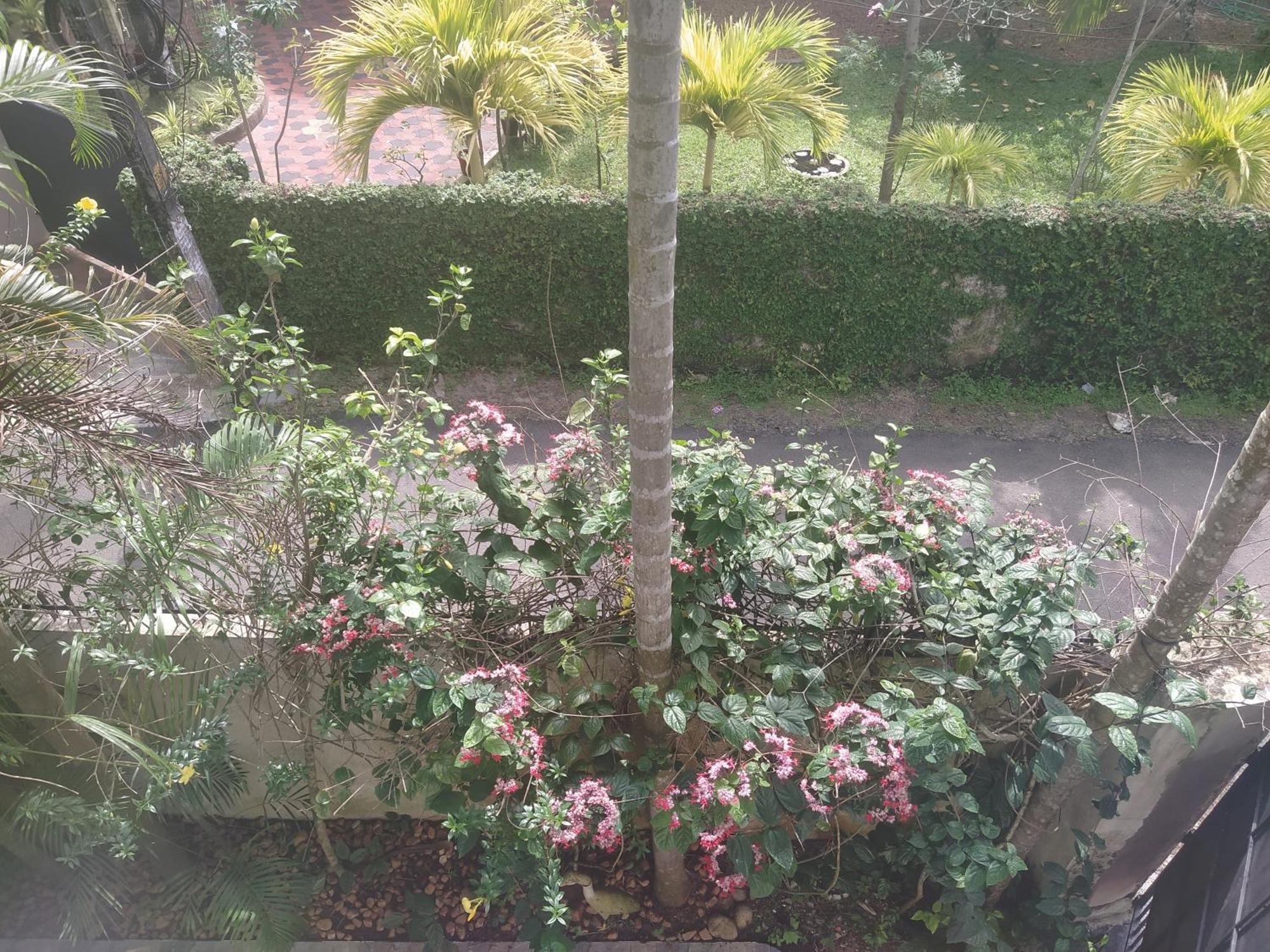 Paradise Inn Guest House Alappuzha Εξωτερικό φωτογραφία